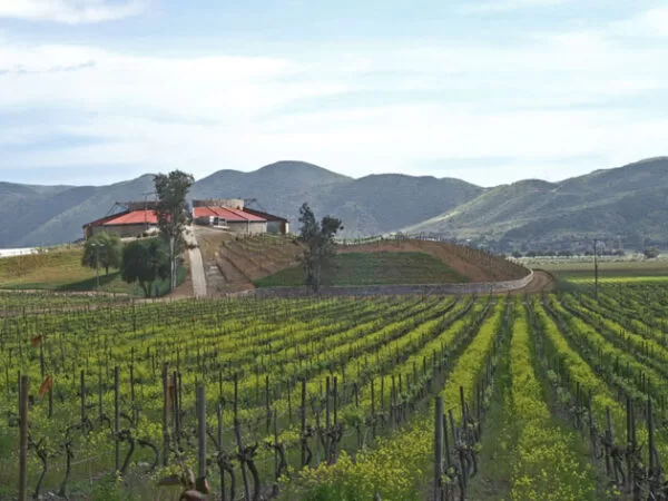  bodega santo tomas mexico - Valle de Guadalupe