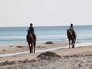 Montar a Caballo en Ensenada