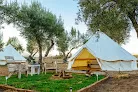 Guadalupe Valle Glamping Ensenada