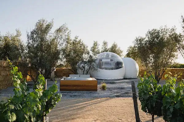 Aspectos Destacados de Campera Hotel Burbuja