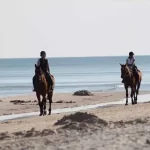 Horseback Riding in Ensenada
